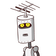 guest
