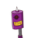 guest
